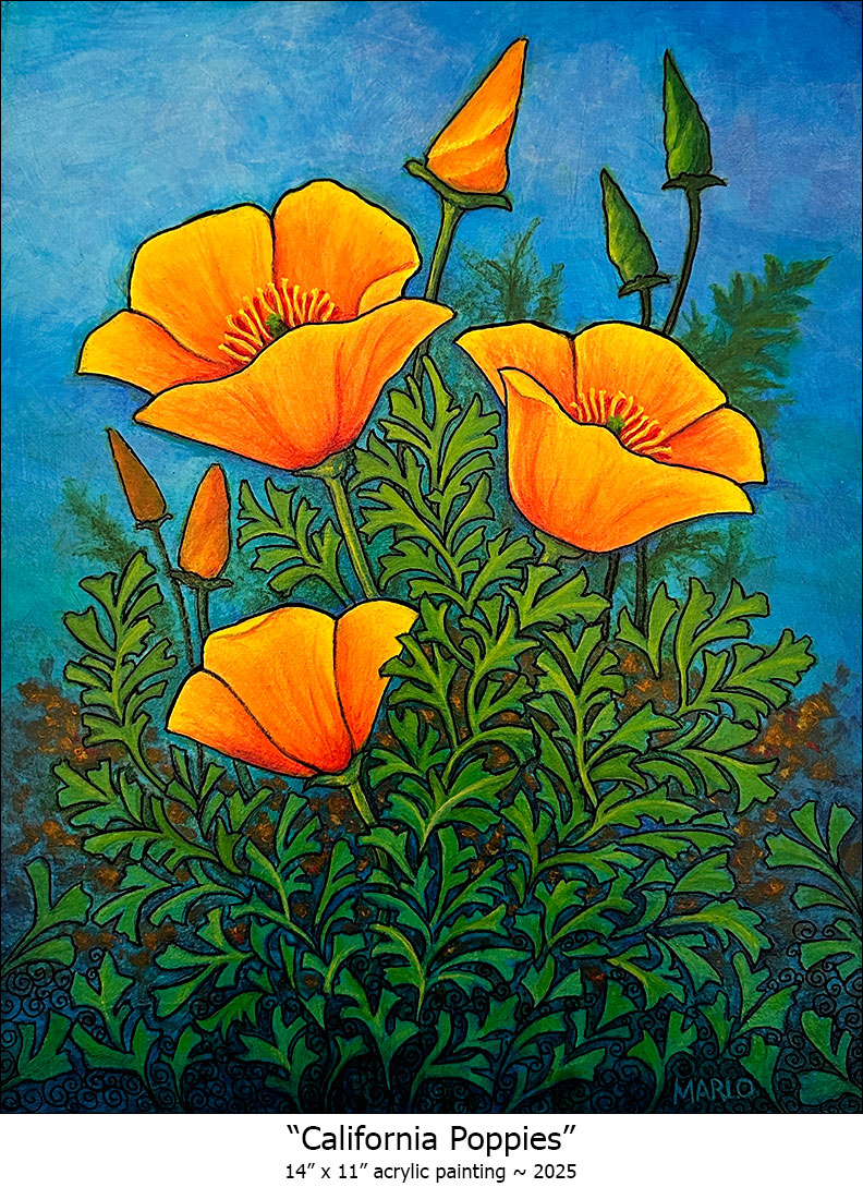 California Poppies
